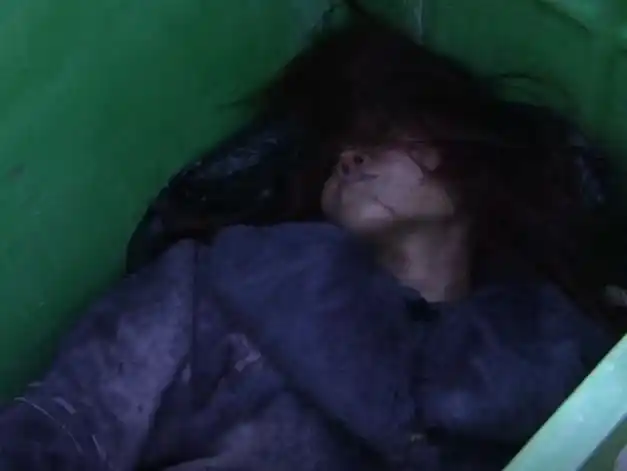 案发现场3:女明星惨死垃圾桶,其私生活让警方瞠目结舌!