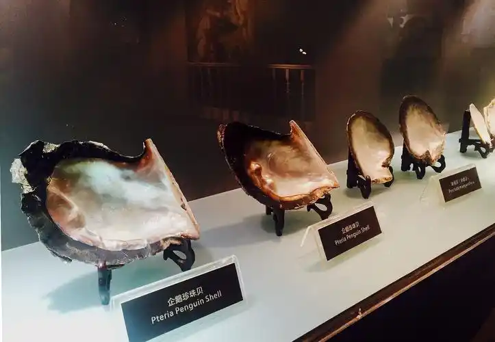 【图说】京润珍珠博物馆:珍珠的世界 精致的美