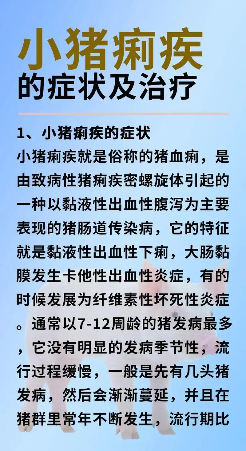 小猪痢疾的症状及治疗.有养猪朋友问小猪痢疾用什么药效果好?