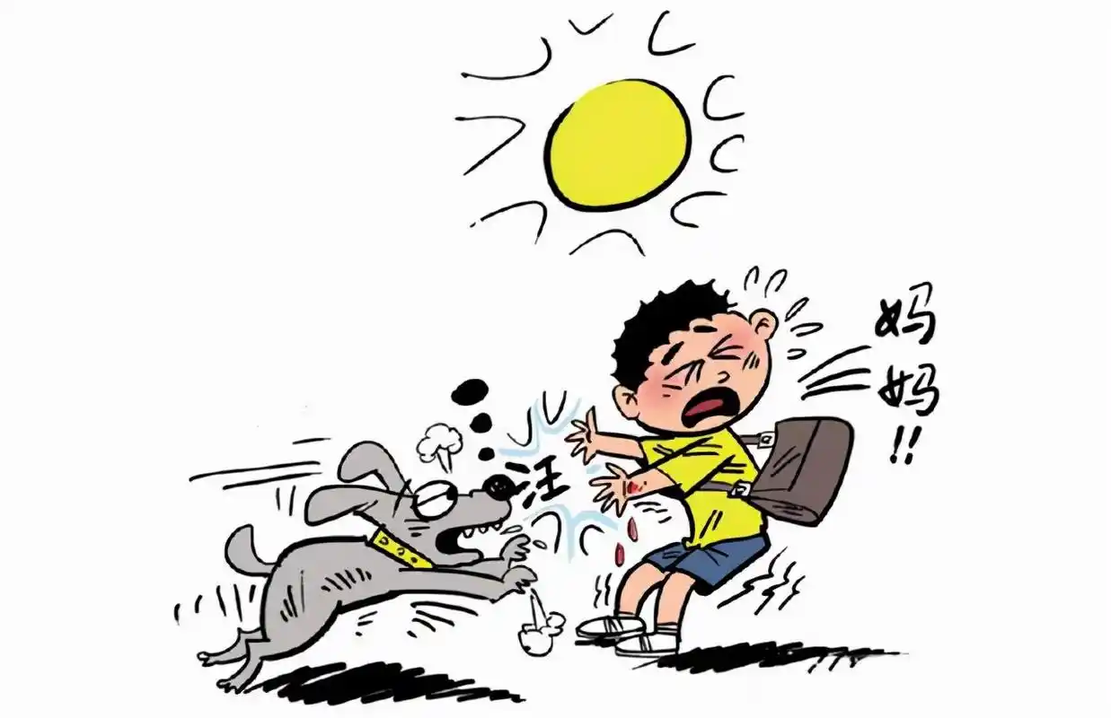 又一起狗咬人事件!河南1岁小男孩被狗咬毁容!路遇恶犬怎么办?