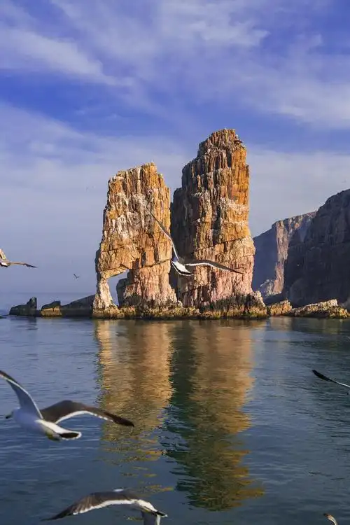 蓬莱万鸟岛(村里)