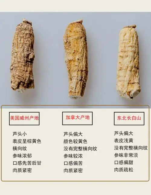 瑞瑞美国花旗参进口西洋参段花旗参片整枝西洋参113克美国原包装