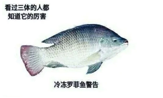 冰冻罗非鱼警告是什么梗