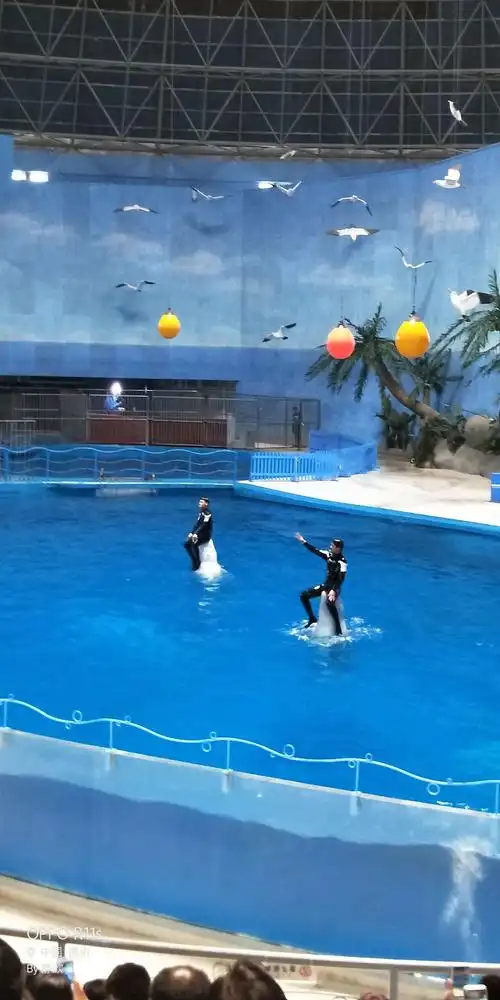 齐河海底世界一日游