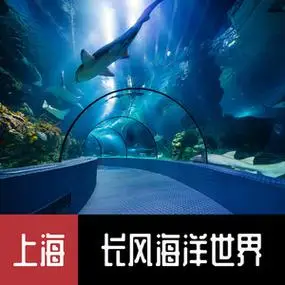 [上海长风海洋世界-大门票(提前一天预定)]长风海洋世界水族馆 含鳐鱼