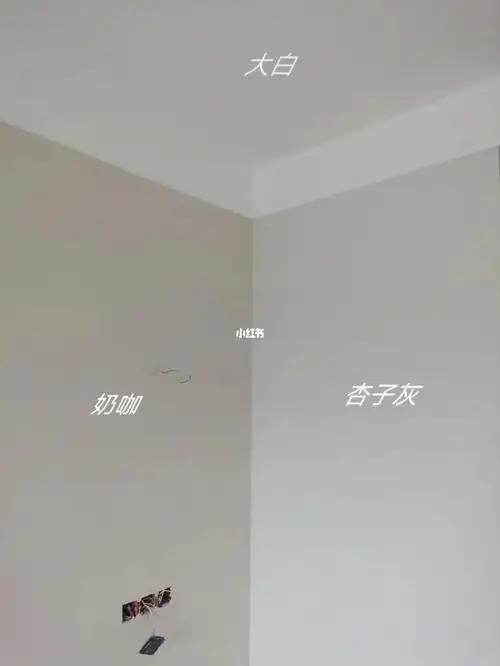 油工师傅说杏子灰是他调浅了快一半出来的效果,其它都是电脑正常调色