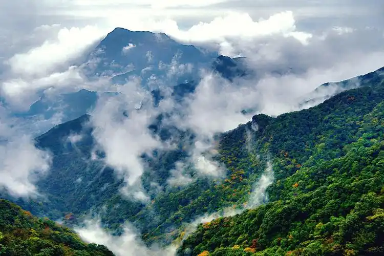 重庆金佛山云海