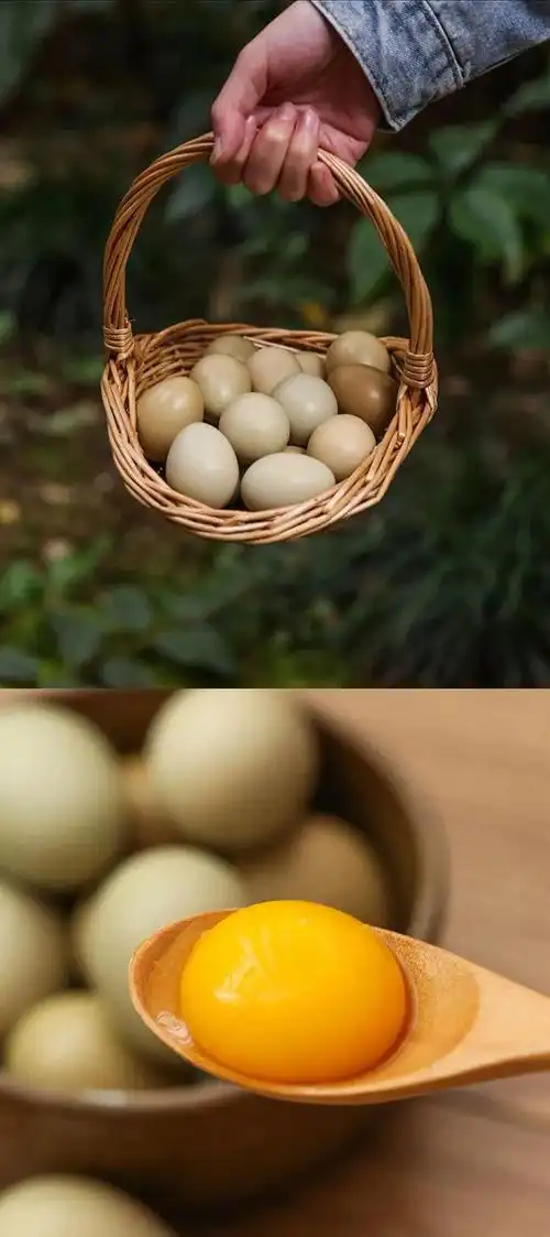 杂粮|野鸡|蛋黄|土鸡蛋|驯养动物_网易订阅