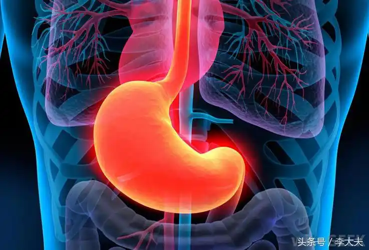 走进人体消化工厂:胃