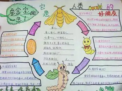 动物一生的变化科学手抄报家乡的变化手抄报