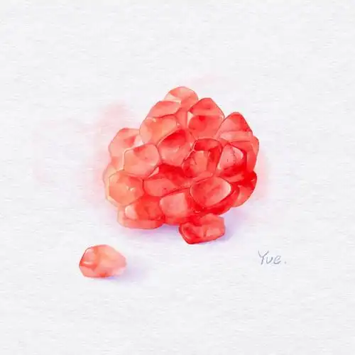 2100手绘水彩石榴