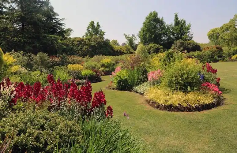 上海世纪公园花境,可以让你赏半天!