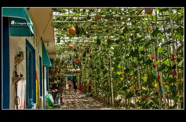 北戴河集发农业生态园10