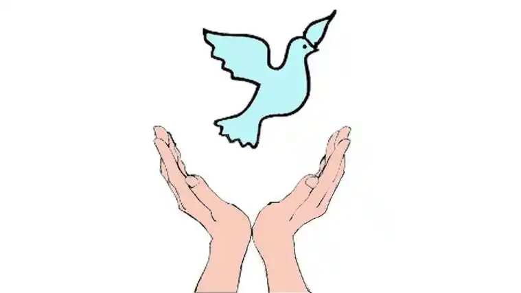 手捧着和平鸽的简笔画