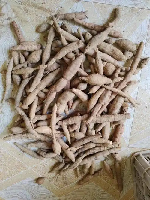 [牛大力批发]深山野生牛大力价格65.00元/斤 - 一亩田