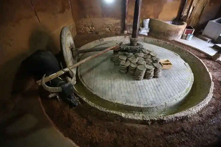 昆明百年油坊再飘香 再现300年前古法榨油