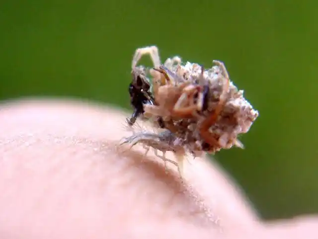 居无为事与行不言教