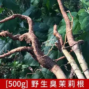 灰毛臭茉莉根天然野生500克白毛臭牡丹根农家现挖山茉莉毛叶大青