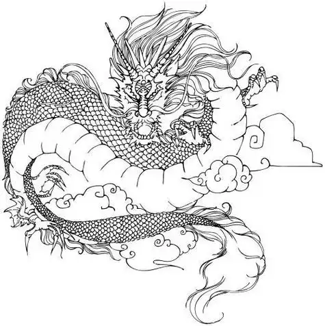 龙凤的简笔画步骤