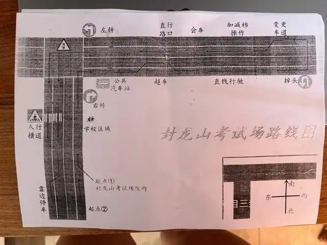 科目三内心慌的学员定海神针