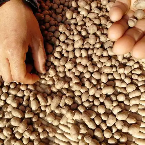 新鲜大号铁棍山药豆淮山种子山东菏泽产地地直山药及其制品