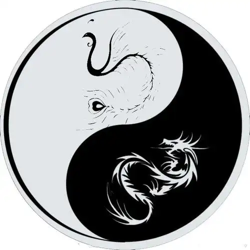 求一个图案,上面包含了太极日月龙凤