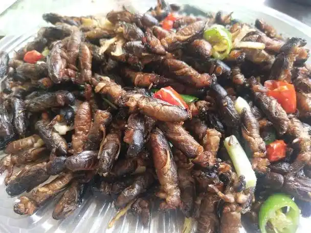 一起去路灯底下抓蝲蝲蛄,然后喂鸡,据说吃了蝲蝲蛄的鸡就能下双黄蛋了