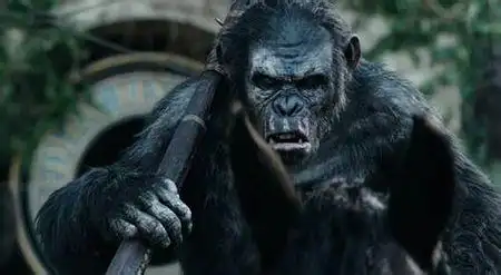 展开全部 楼主你好 是电影《猩球崛起》第二部 科巴不相信人类与咳鲻