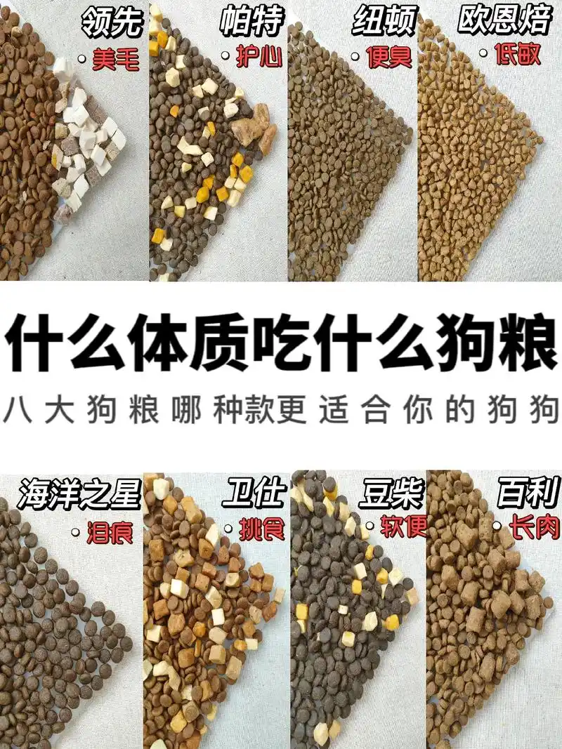 8款畅销狗粮实测/不看我会伤心的.今天测评的8款狗粮里有没有 - 抖音