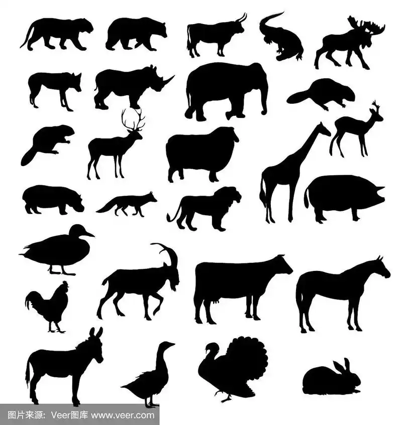 动物剪影