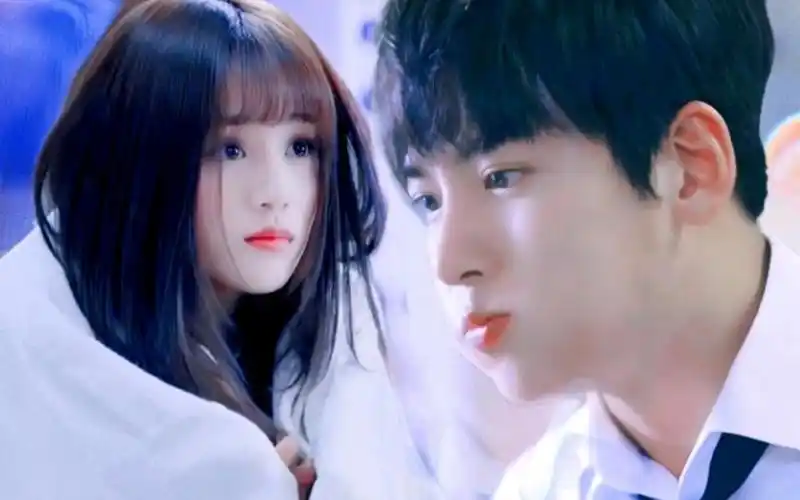 【池昌旭×安悦溪】猫猫狗狗上大分|危险派对-7amaris7-默认收藏夹