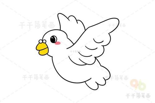 鸽子简笔画图片教程