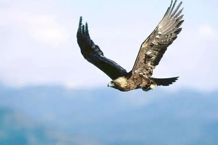身居陋室心不忧布衣亦可傲王侯
