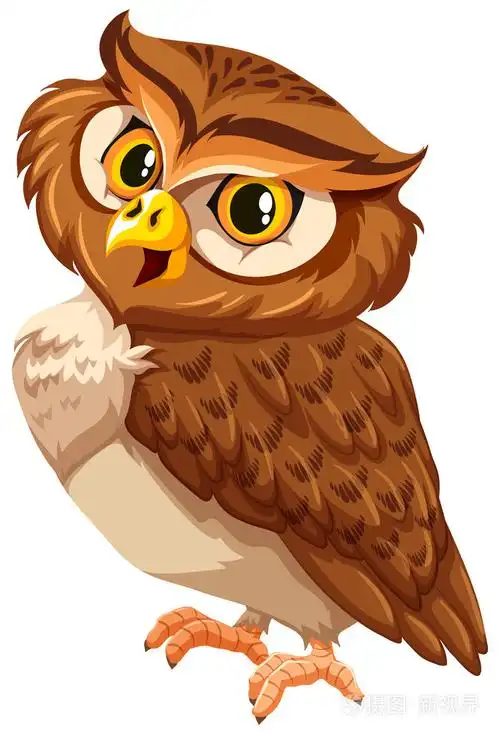 棕色猫头鹰