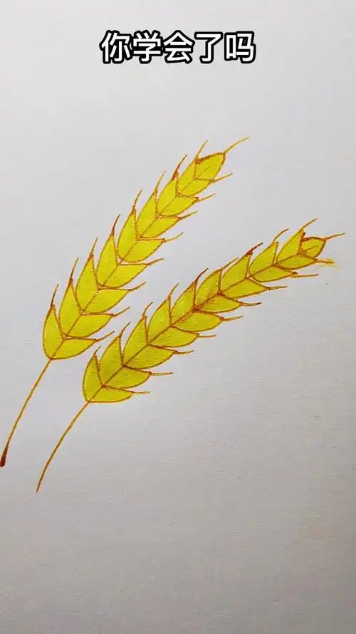 画画原来如此简单小麦这样画学不会你找我