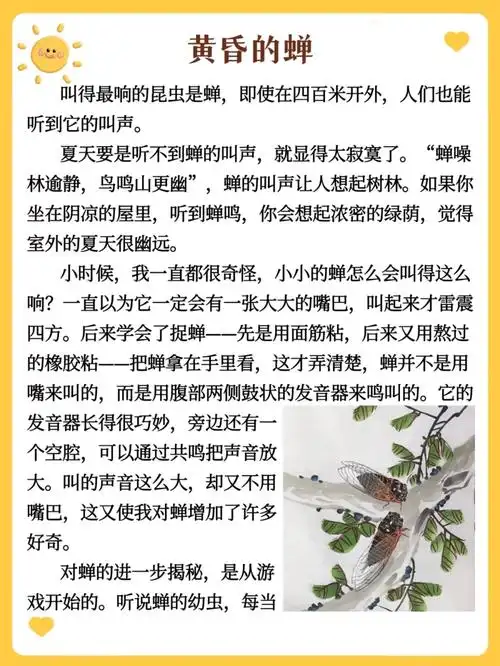 我的昆虫朋友黄昏的蝉每日晨读day258