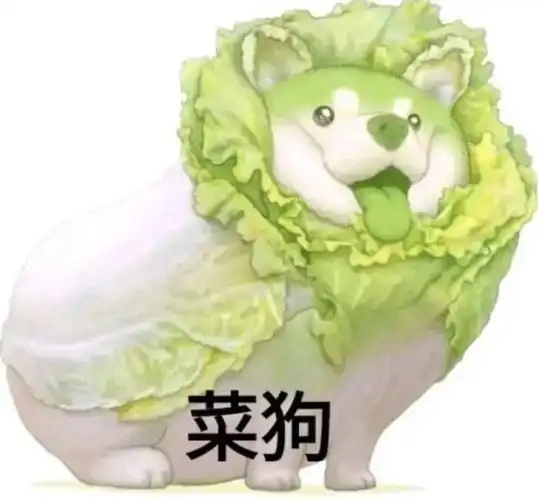 菜狗_菜狗表情
