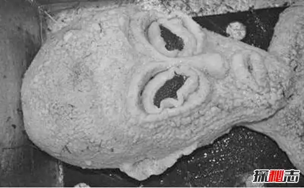 太空存在生物的证据曝光宇宙中最恐怖的生物揭秘