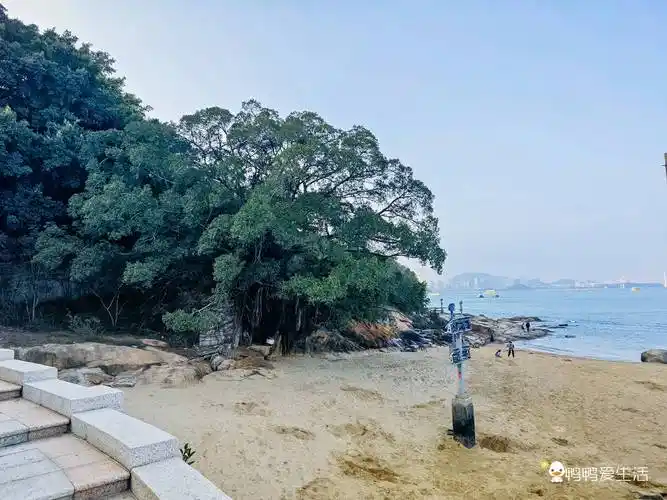 燕尾山生态公园曾为高炮阵地,也曾是个乱葬岗,现在开辟为公园.