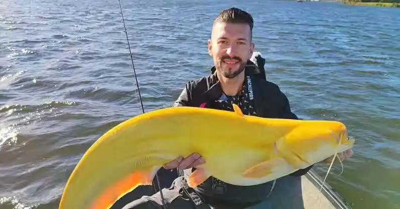 原创德国男子钓到119cm黄金大鲶鱼引网友惊呼