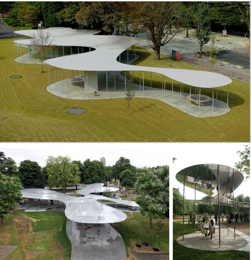 《蛇形画廊》——蛇形画廊在田园中的形态呈现,其上下反射会让观众