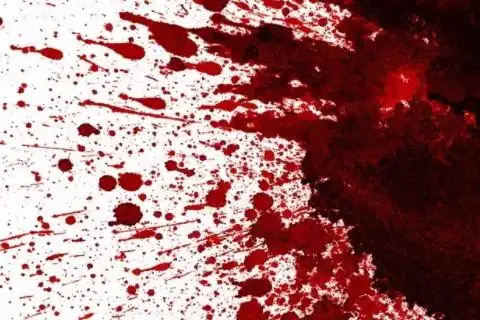 梦到满地是别人的血是什么意思各方面比较顺利