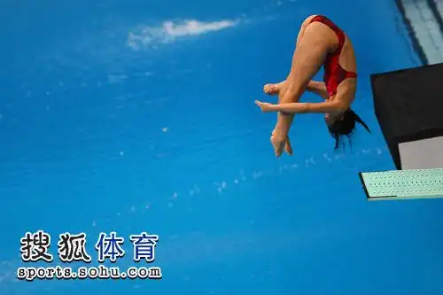 组图:郭晶晶最后一跳全回顾 完美诠释跳水之美
