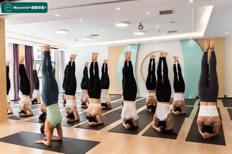 专业瑜伽老师怎么养成的