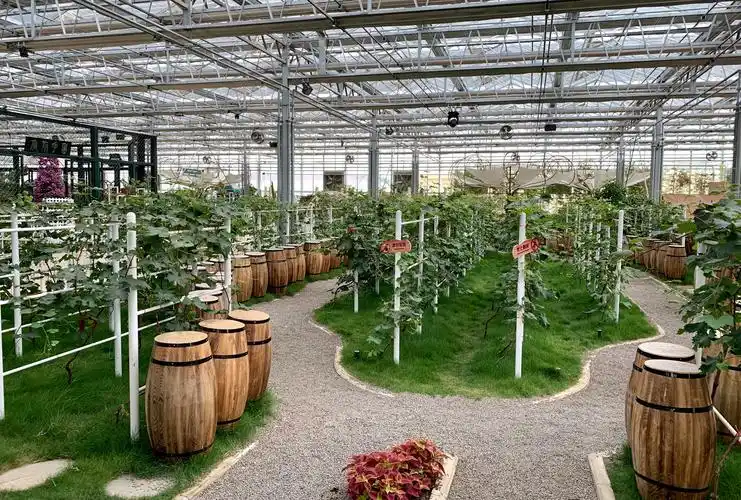 2020年《参观大同市农业嘉年华》游记