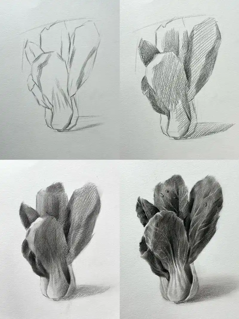 4万 关注 多吃蔬菜素描静物 .