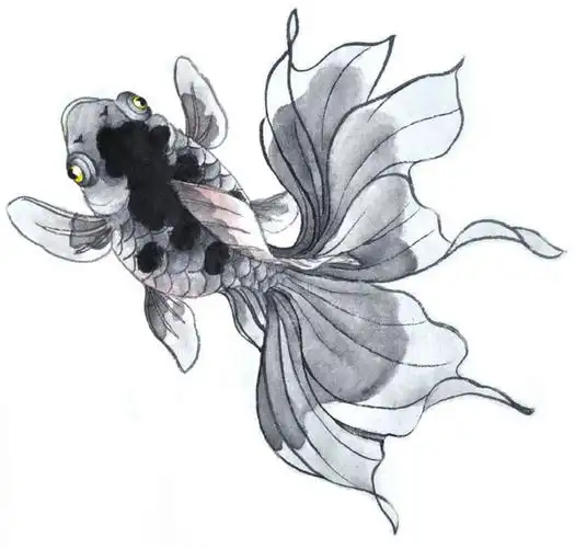 绘画知识工笔画金鱼
