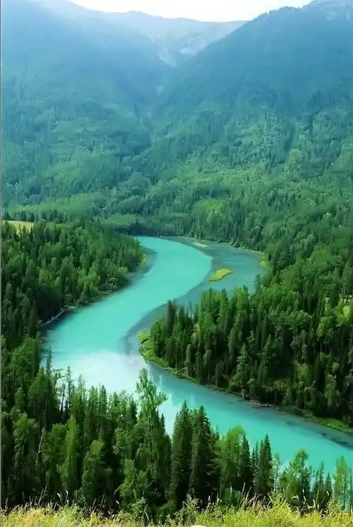 喀纳斯是一生中一定要去一次的地方,因为它是世界上少有的"人间净土".