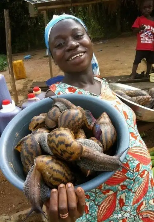 僵尸蜗牛会咬人吗(僵尸蜗牛有毒吗)-点子猫