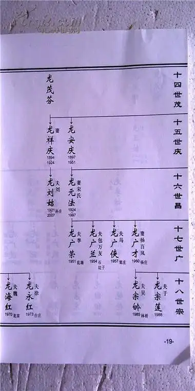 龙氏族谱云公支16开上下本329页2012年版售原谱